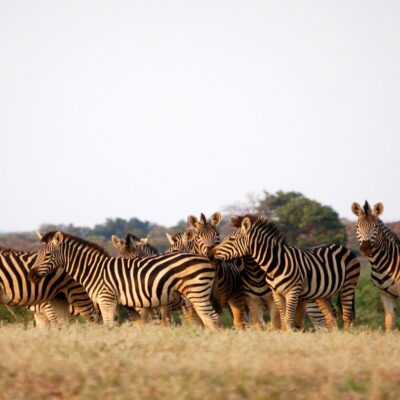 Botswana