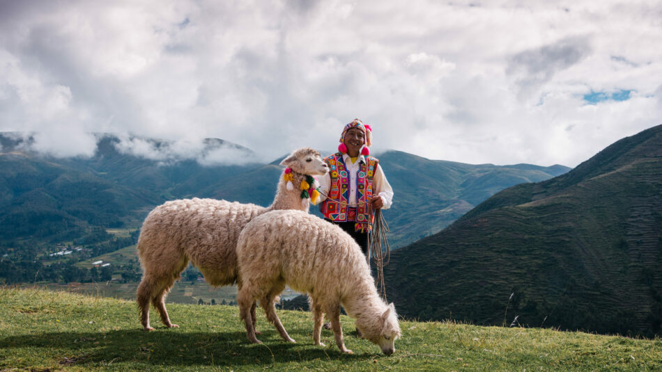 Craig Howes - Peru, alpacas